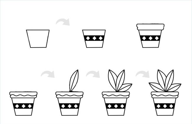 植物盆景简笔画的法画步骤和上色图片