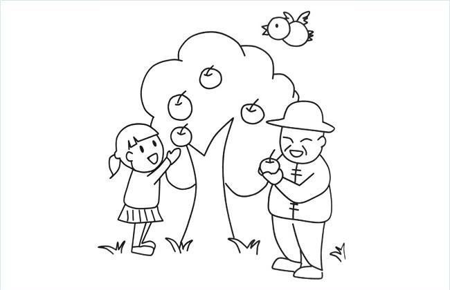 小朋友和爷爷在苹果树下摘苹果的简笔画图片